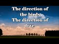 Xavier Rudd - Follow The Sun (Lyrics)