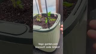 Self Watering Tomato Planter Box With Trellis From vegogarden #vegoplanter  #tomato