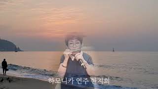 한지희 하모니카 연주 동백아가씨