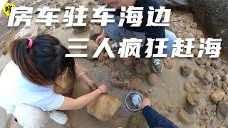 两台房车露营海边，刚巧遇到落潮，不会赶海的人去赶海是什么样？