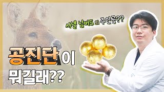 비싼 공진단의 효능❓ 한의사가 공진단효과 폭로합니다🧑‍⚕️🔥