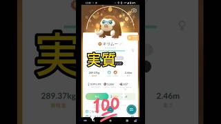 【マンムー】実質100%マックス強化してランドロスレイドやるか！？ #ポケモンgo #マックス強化#マンムー