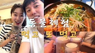 귀가 처진 애완토끼를 처음 보았다🐰ㅣ소고기 불쇼🥩ㅣ해물짬뽕 쏘맥조화🍻ㅣ음주 골프스크린