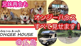 【愛犬と旅をしよう】オンジーハウス@広島 ドッグラン・スーパートレーラーハウス➕兄弟再会も