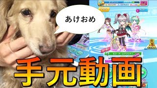 iPadお手元動画！明けましておめでとうございます！【白猫テニス】