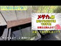 秋に生まれたちびメダカの管理方法 【丈夫に育てて一緒に冬を越しましょう】