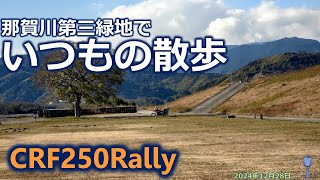 第三緑地でいつもの散歩　2024 12 28