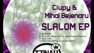 Ciupy \u0026 Mihai Bejenaru   Slalom (Original Mix) TZH003