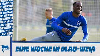 HaHoHe - Eine Woche in Blau-Weiß | 3. Spieltag | FC Bayern vs. Hertha BSC