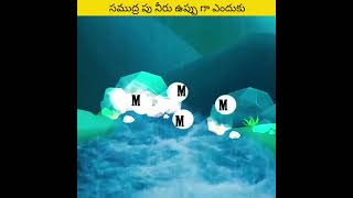 సముద్రపు నీరు ఎందుకు ఉప్పగా ఉంటుంది?#Why is sea water salty?#hfacts #facts #shortstelugu #shortst