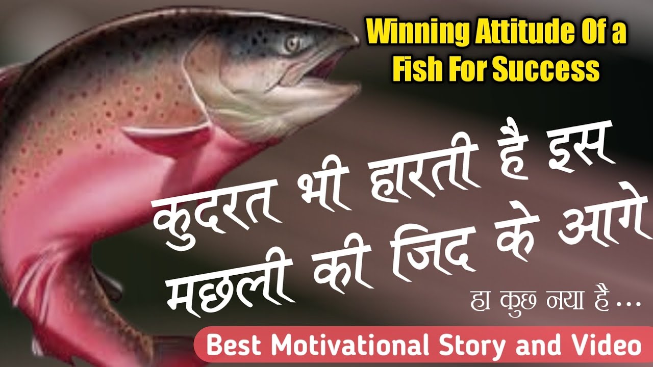 बस 4 मिनट में कुछ नया सीखो | Success Story- Best Success Story In Hindi ...