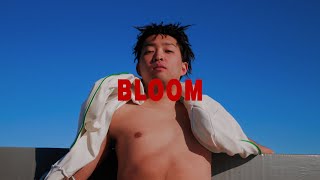 WATER DAWGS - BLOOM (Prod. Y ohtrixpointnever)