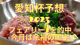 愛知杯予想2023　黒字の内にデカいの当てるぜ！　コメント歓迎！