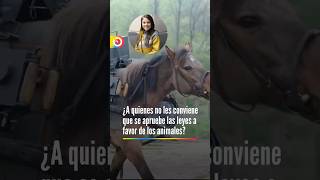 Conozca a quiénes no les conviene la ley que busca reconocer a animales como víctimas del conflicto