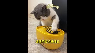 过年回家，毛孩子的喝水问题解决了吗？#留守猫咪 #猫咪喂水器 #新手养猫