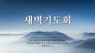 2023년 3월 10일 새벽기도회