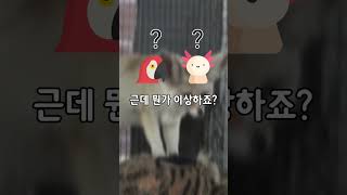 [연성대학교 반려동물보건과] 사이테스(CITES)