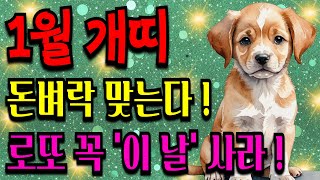 2025년 1월 개띠 운세 돈벼락 맞고 모든 빚 청산된다ㅣ풍수ㅣ건강운ㅣ재물운ㅣ돈복