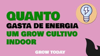 QUANTO GASTA DE ENERGIA UM GROW PARA CULTIVO INDOOR