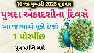 પુત્રદા એકાદશીના દિવસે આ જગ્યાએ મૂકી દેજો એક મોરપીંછ | vastu tips | vastu Shastra