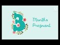 3 months of pregnancy in tamil 3rd month of pregnancy 3 months pregnancy symptoms in tamil