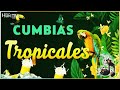 CUMBIAS TROPICALES PARA BAILAR🌴FITO OLIVARES, LOS KARKIKS, ACAPULCO TROPICAL🍹CUMBIAS VIEJITAS 2024