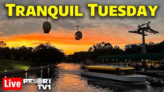 🔴Live: Tranquil Tuesday  - Disney Skyliner Resort Hopping -