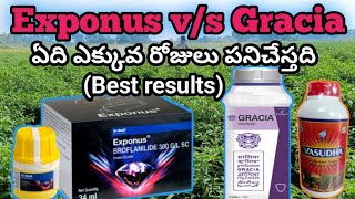 #Exponus v/s #Gracia #మిరపలో ఏది ఎక్కువ రోజులు పనిచేస్తది Best results #vasudha@NSsagubadi