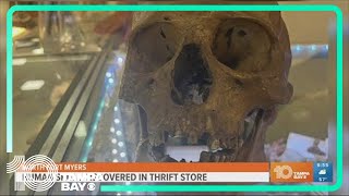 Human skull found in Halloween section of Florida thrift store