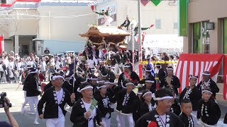 平成29年岸和田10月祭礼だんじり祭り　南掃守地区本宮　午後の曳行