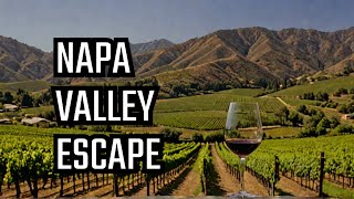 🍷 Top 10 Must-Visit Vineyards in Napa Valley | Wanderlust Chronicles 🍇