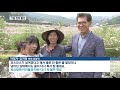 들판 가득 코스모스 향기…‘가을꽃 축제’ 장관 kbs뉴스 news