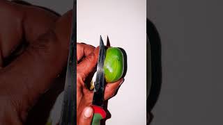 Amazing green colour mango 🥭 #shorts #satisfying #shortvideo