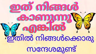 Why do you see butterflies when using -the law of attraction (Malayalam)