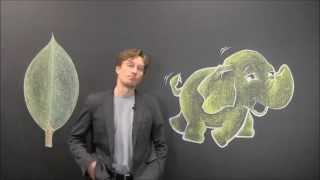 Hadoop vs MongoDB