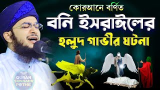 কোরআনে বর্ণিত বনি ইসরাইলের গাভীর ঘটনা || সূরা বাকারার রহস্যময় হলুদ গাভীর ঘটনা মুফতি নোমান বিন জাহিদ