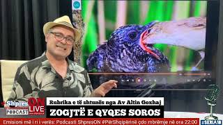 Podcasti Shpreson, Rubrika e re e çdo të shtune me Av Altin Goxhaj: \