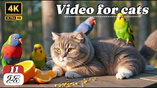 Ultimate Cat TV for Cats to Watch | 6 Hours of Birds Chirping & Squirrels Playing | Perfect Video