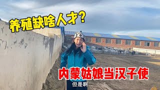 【牧牧】125 内蒙养殖缺啥样人才？牧民自学大型机器，千只羊成吨羊粪咋处理