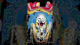 ଆସିଛି ରେ ରଥଯାତ  ll Odia bhajan status ll Jay Jagannath ⭕❗⭕ ll 🙏🙏🙏🙏