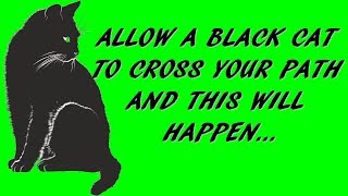 ALLOW A BLACK CAT TO CROSS YOUR PATH AND THIS WILL HAPPEN...