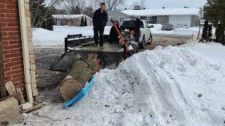 loading oak logs on trailer with winch