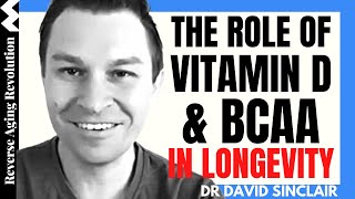 The Roles Of Vitamin  D & BCAA IN LONGEVITY | Dr David Sinclair Interview Clips