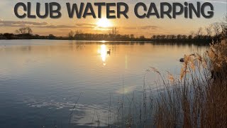 Carp fishing a club water.