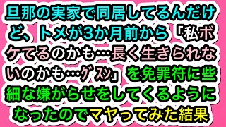 【スカッとする話】旦那の実家で同居してるんだけど、トメが3か月前から「私ボケてるのかも…長く生きられないのかも…ｸﾞｽﾝ」を免罪符に些細な嫌がらせをしてくるようになったのでマヤってみた結果