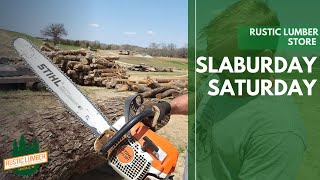 Slaburday Saturday: Nature Destroys $5000 Walnut