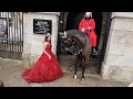 OMG 💕 Her KIND Control of the Reins Changed everything - Who is she? - Horse Guards in London