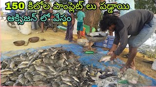 #fishing పంప్లేట్ లు 150 కేజీలు పడ్డాయి మొత్తం అవే