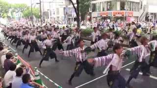 第16回にっぽんど真ん中祭り(2014/8/31)「東京理科大学Yosakoiソーラン部」