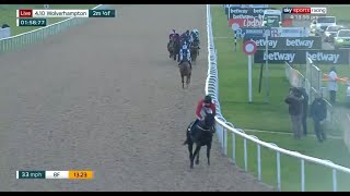 Extraordinary horse race at Wolves!